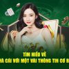 Tìm hiểu casino trực tuyến Bsport B8k